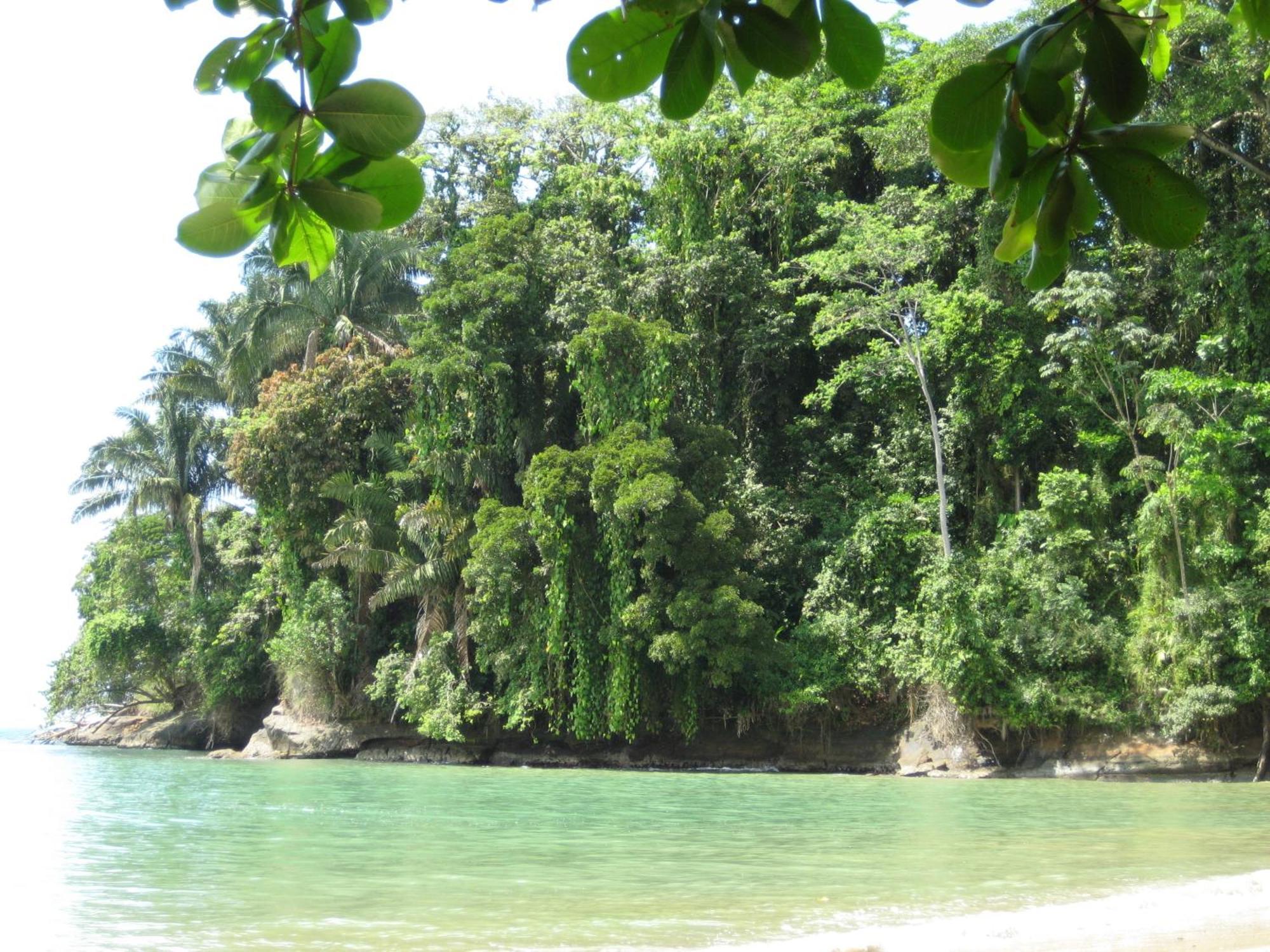 El Tucan Jungle Lodge Puerto Viejo de Talamanca Εξωτερικό φωτογραφία