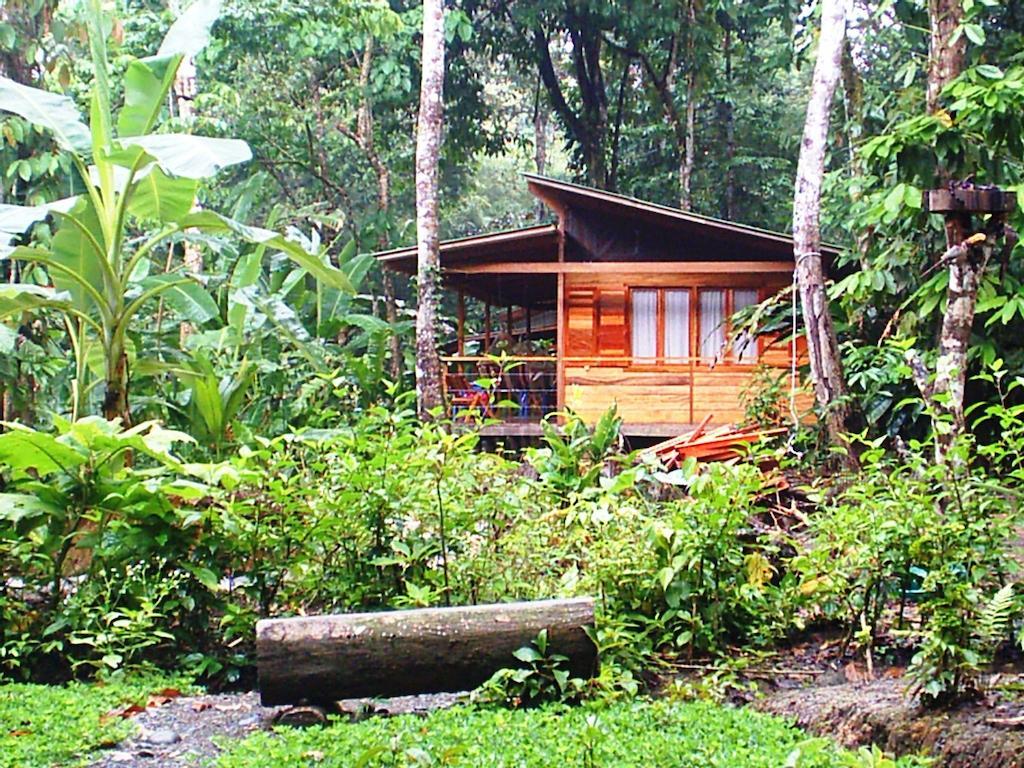 El Tucan Jungle Lodge Puerto Viejo de Talamanca Εξωτερικό φωτογραφία