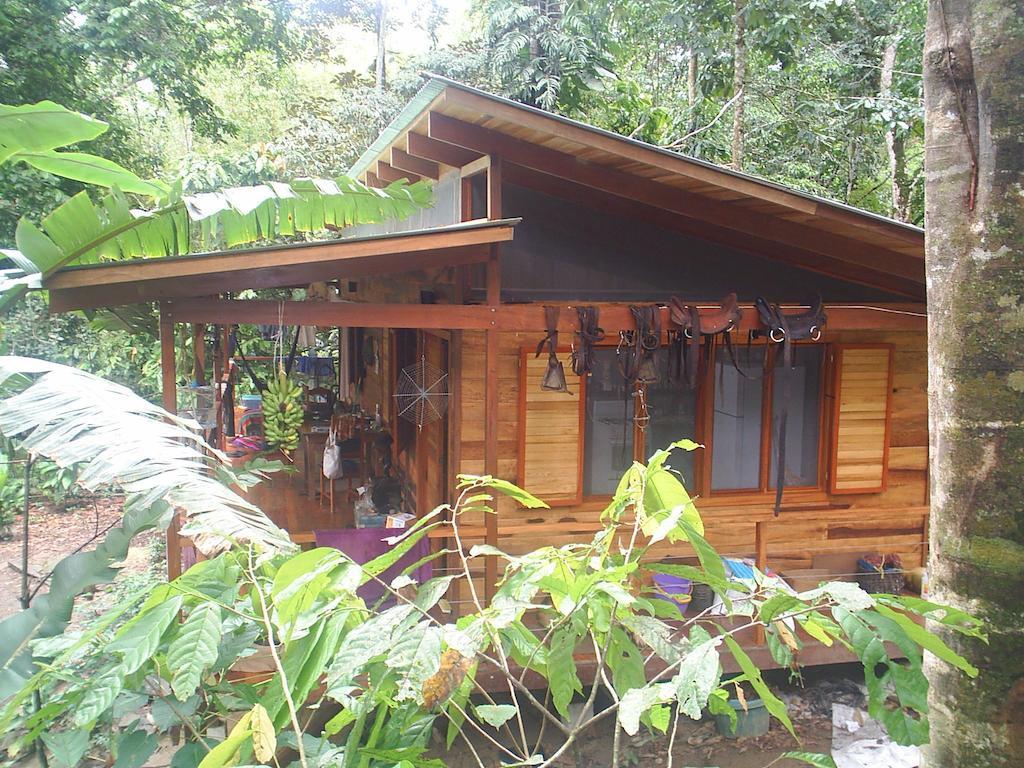 El Tucan Jungle Lodge Puerto Viejo de Talamanca Δωμάτιο φωτογραφία