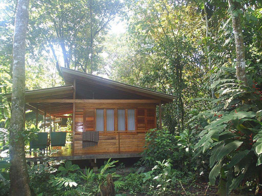 El Tucan Jungle Lodge Puerto Viejo de Talamanca Δωμάτιο φωτογραφία