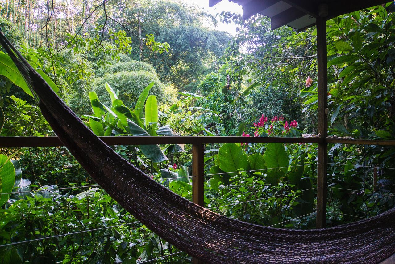 El Tucan Jungle Lodge Puerto Viejo de Talamanca Εξωτερικό φωτογραφία