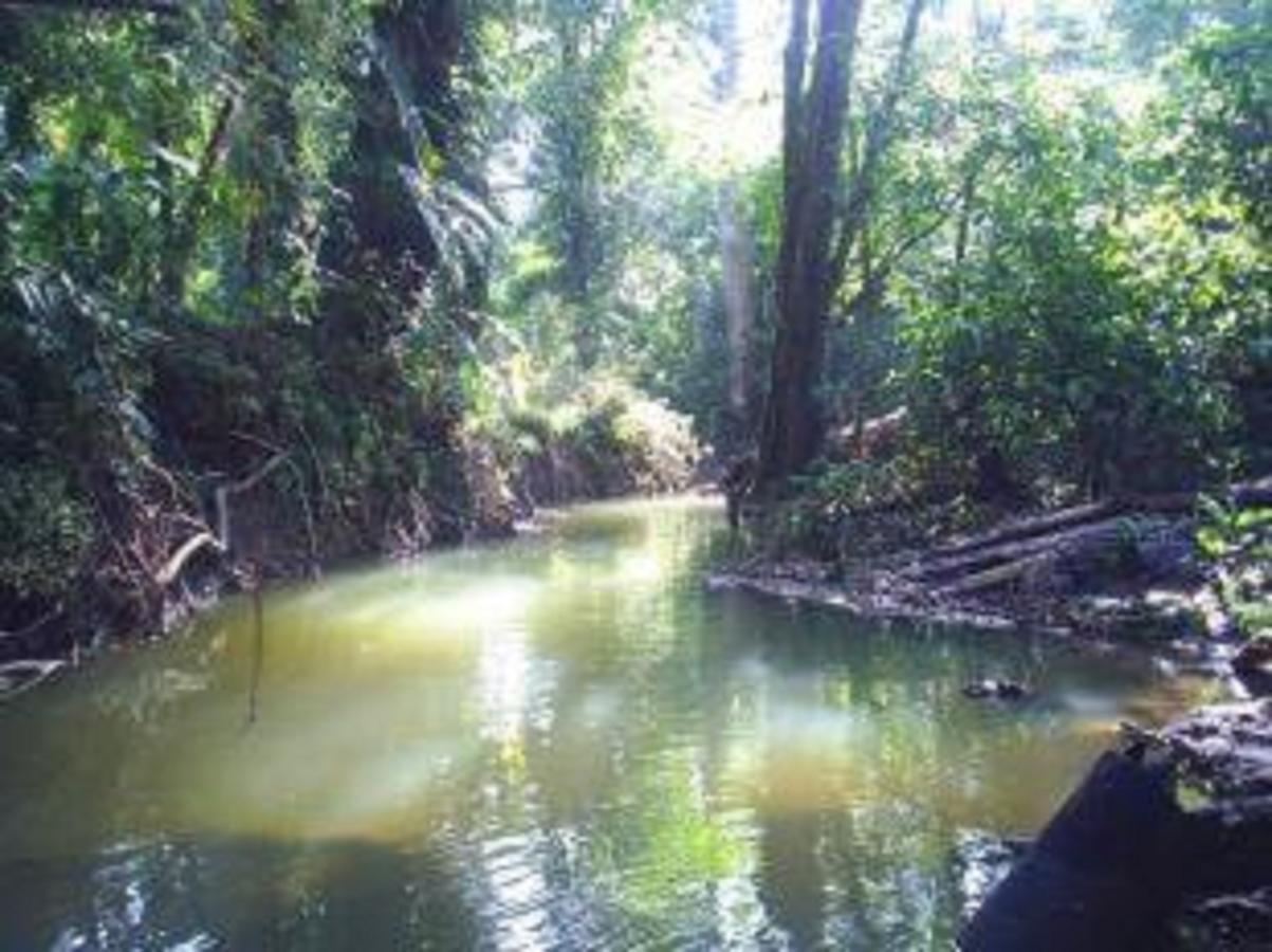 El Tucan Jungle Lodge Puerto Viejo de Talamanca Εξωτερικό φωτογραφία