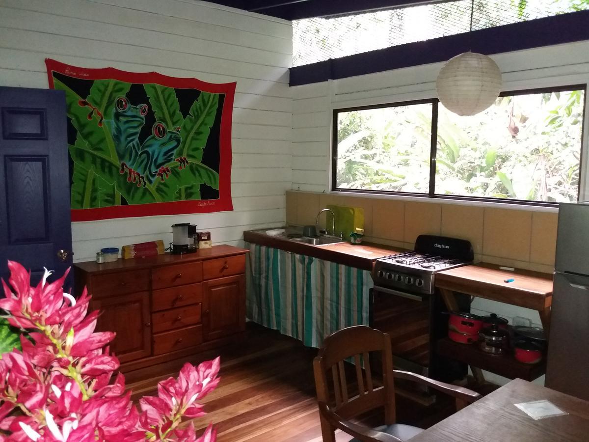 El Tucan Jungle Lodge Puerto Viejo de Talamanca Εξωτερικό φωτογραφία