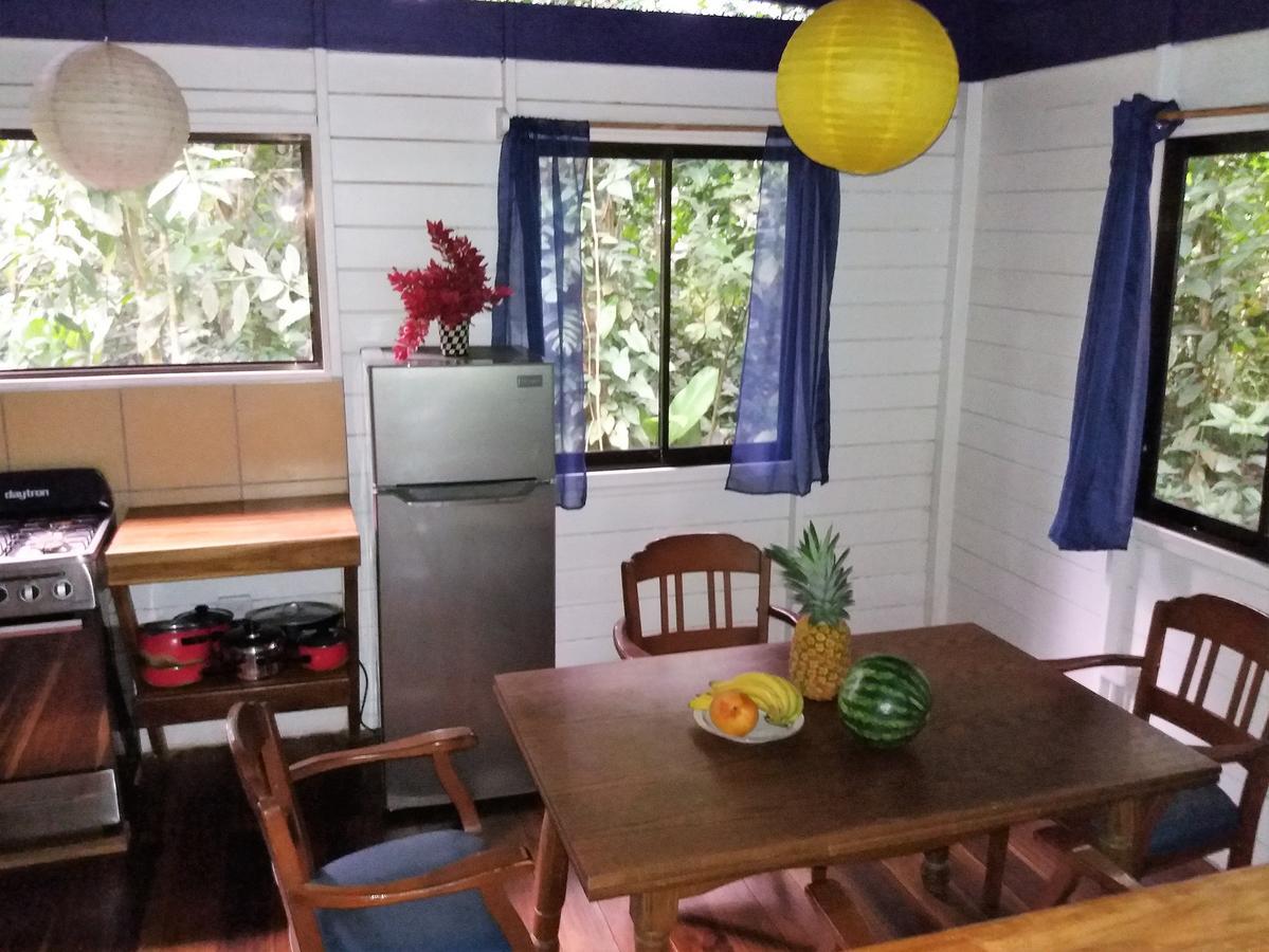 El Tucan Jungle Lodge Puerto Viejo de Talamanca Εξωτερικό φωτογραφία